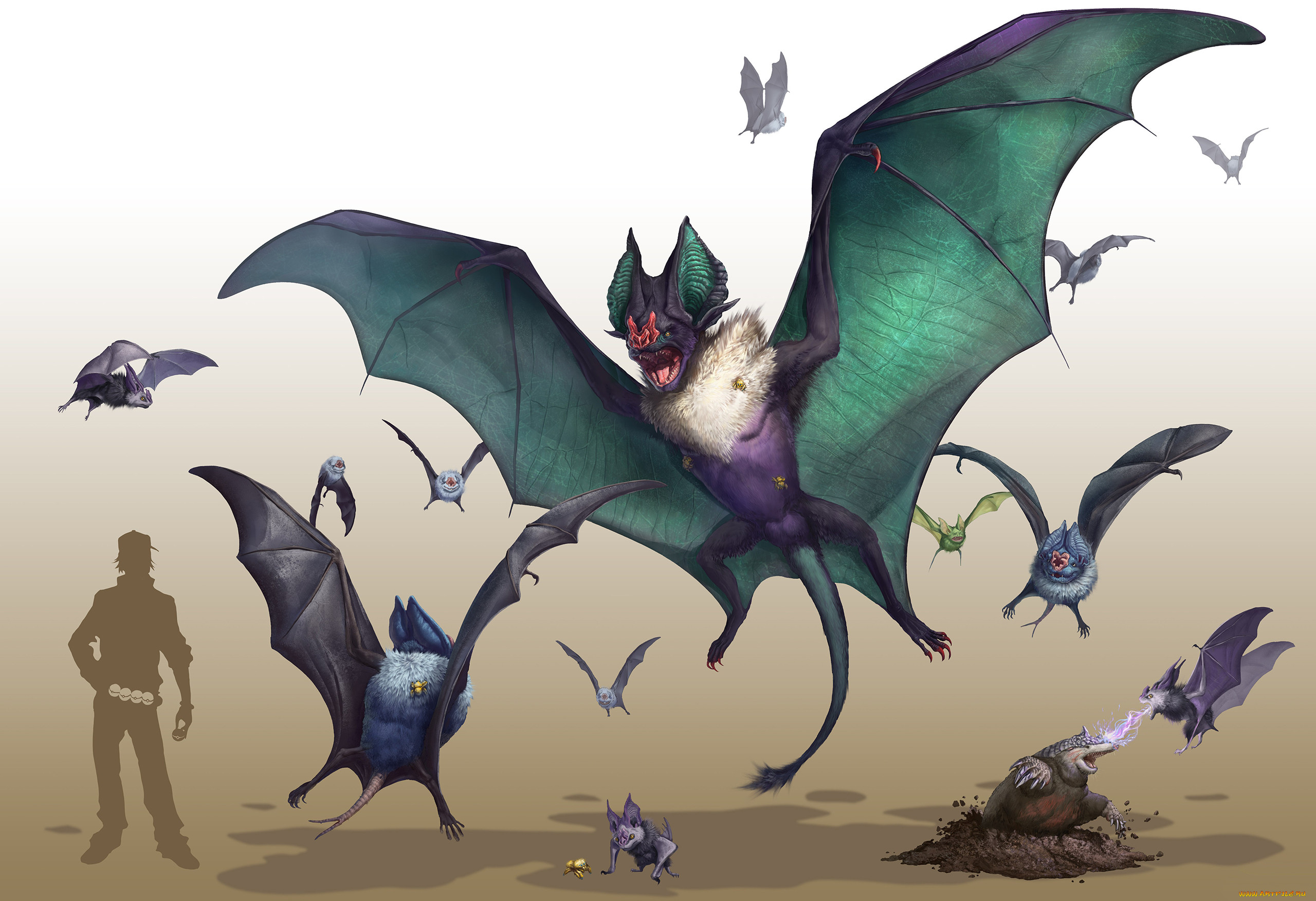 , pokemon, , , , 